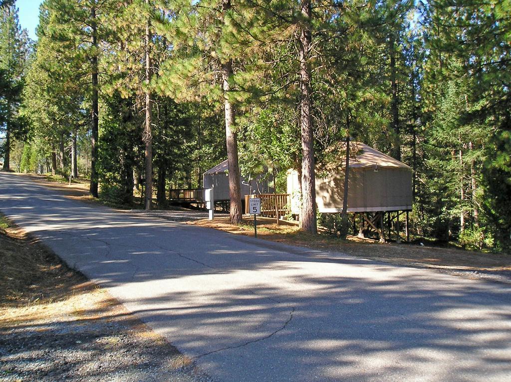 Yosemite Lakes Hillside Yurt 1 Harden Flat Ngoại thất bức ảnh